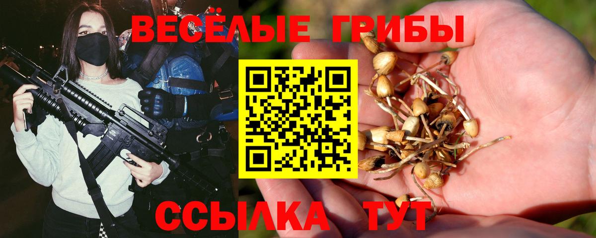 Братск  где продают наркотики  Вход с VPN  Псилоцибиновые грибы ЛСД 